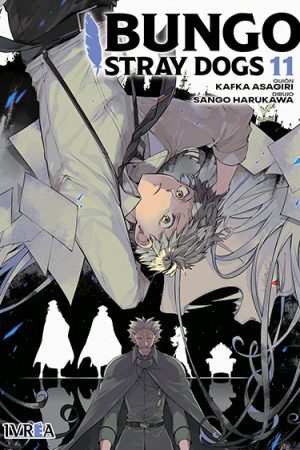 Bungo Stray Dogs 11
