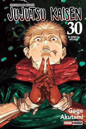 Jujutsu Kaisen 30