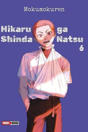 Hikaru Ga Shinda Natsu 06