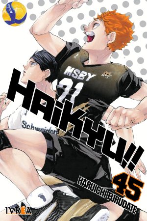 Haikyu!! 45